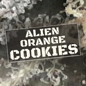 Alien Orange Cookies Cannabis Strain