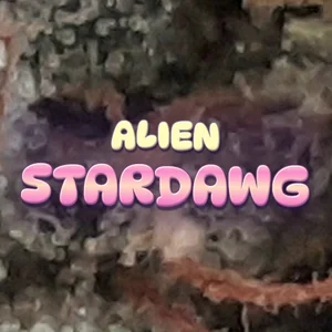 Alien Stardawg Cannabis Strain