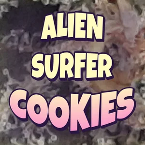 Alien Surfer Cookies Cannabis Strain