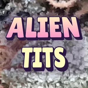 Alien Tits Cannabis Strain