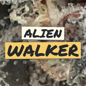 Alien Walker Cannabis Strain
