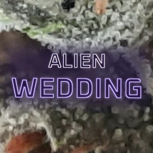 Alien Wedding Cannabis Strain