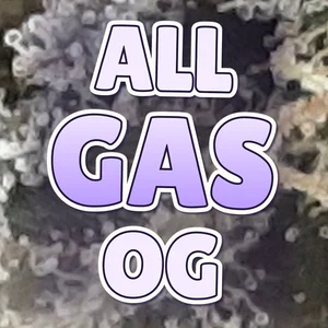 All Gas OG Cannabis Strain