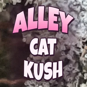 Alley Cat Kush Cannabis Strain