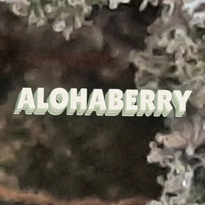 Alohaberry Cannabis Strain