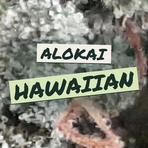 Alokai Hawaiian Cannabis Strain