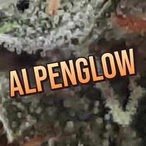 AlpenGlow Cannabis Strain