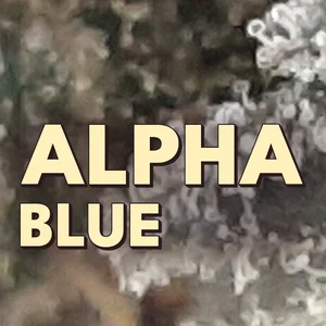 Alpha Blue Cannabis Strain