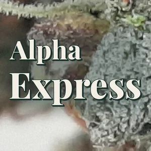 Alpha Express Cannabis Strain