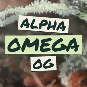 Alpha Omega OG Cannabis Strain