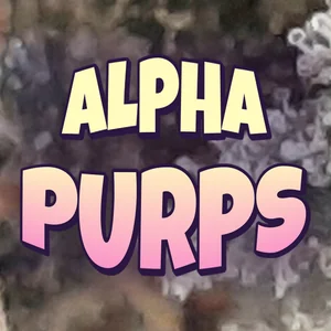 Alpha Purps Cannabis Strain