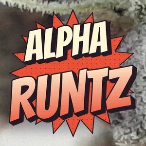 Alpha Runtz Cannabis Strain