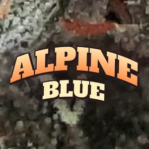 Alpine Blue Cannabis Strain