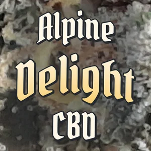 Alpine Delight CBD Cannabis Strain
