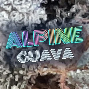 Alpine Guava Cannabis Strain