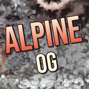 Alpine OG Cannabis Strain