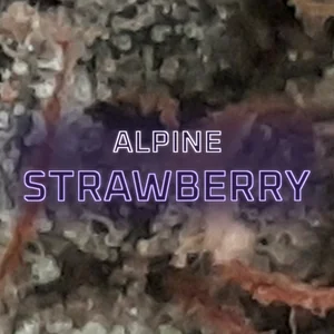 Alpine Strawberry Cannabis Strain