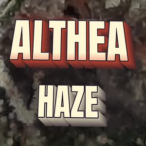 Althea Haze Cannabis Strain
