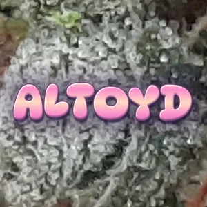 Altoyd Cannabis Strain