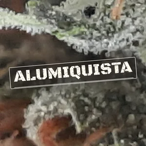 Alumiquista Cannabis Strain