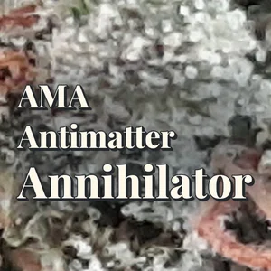 AMA Antimatter Annihilator Cannabis Strain