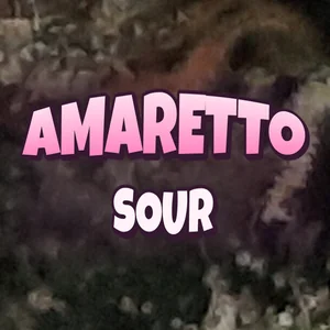 Amaretto Sour Cannabis Strain