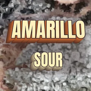 Amarillo Sour Cannabis Strain