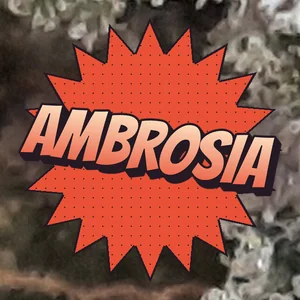 Ambrosia Cannabis Strain