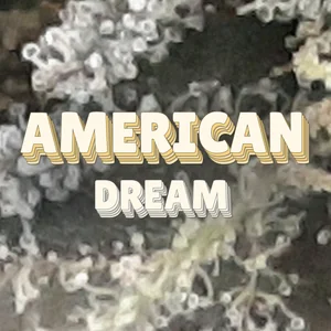 American Dream Cannabis Strain