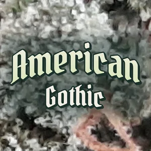 American Gothic Cannabis Strain