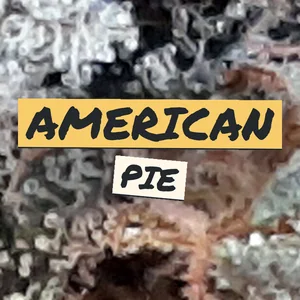 American Pie Cannabis Strain