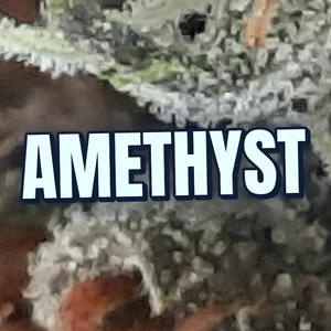 Amethyst Cannabis Strain