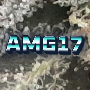 AMG17 Cannabis Strain