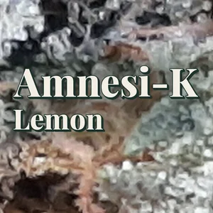 Amnesi-K Lemon Cannabis Strain
