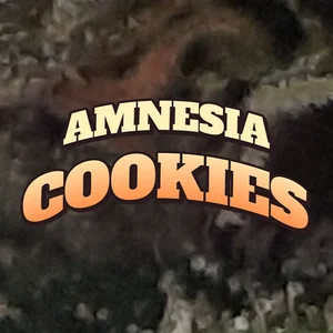 Amnesia Cookies Cannabis Strain