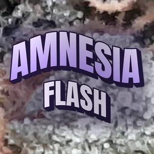 Amnesia Flash Cannabis Strain