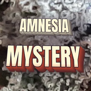 Amnesia Mystery Cannabis Strain