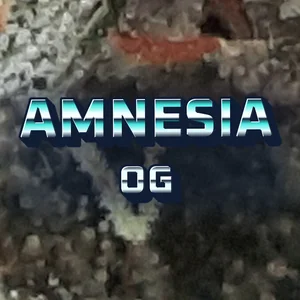 Amnesia OG Cannabis Strain