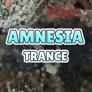 Amnesia Trance Cannabis Strain