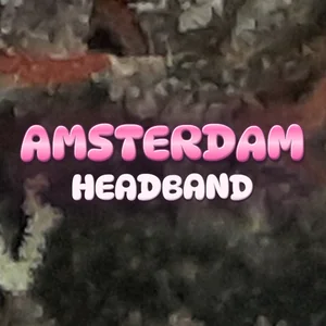 Amsterdam Headband Cannabis Strain