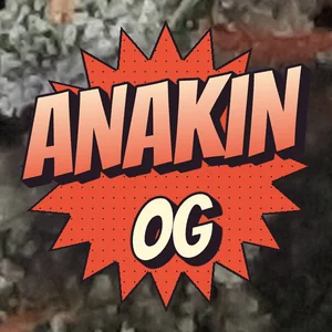 Anakin OG Cannabis Strain
