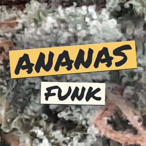 Ananas Funk Cannabis Strain