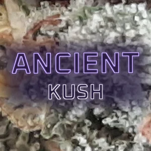 Ancient Kush Cannabis Strain