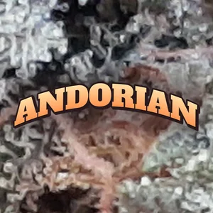 Andorian Cannabis Strain