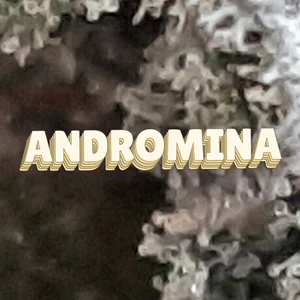 Andromina Cannabis Strain