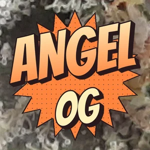 Angel OG Cannabis Strain