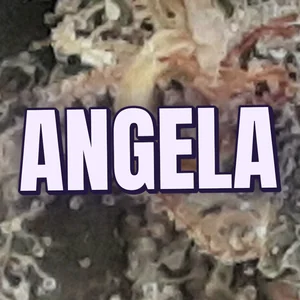 Angela Cannabis Strain