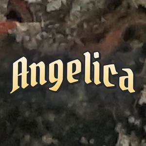 Angelica Cannabis Strain