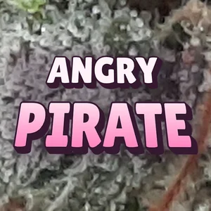 Angry Pirate Cannabis Strain