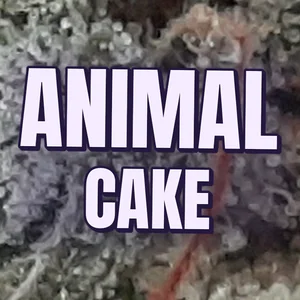 Animal Cake Cannabis Strain